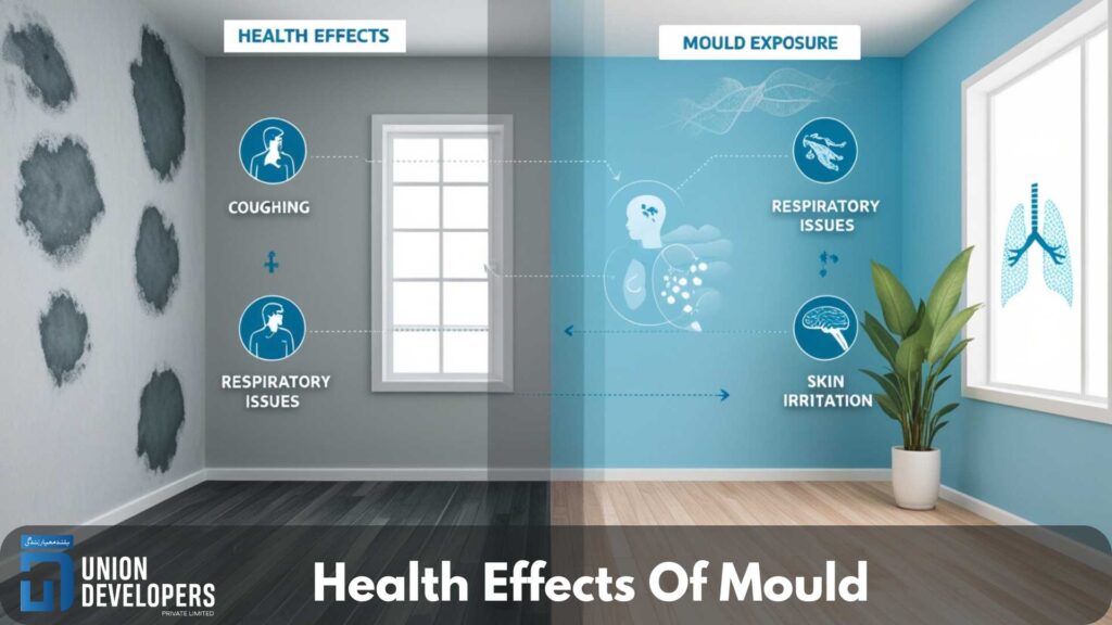 Health Effects Of Mould