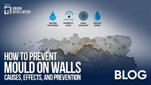 How To Prevent Moulds On Walls Causes, Effects, And Prevention