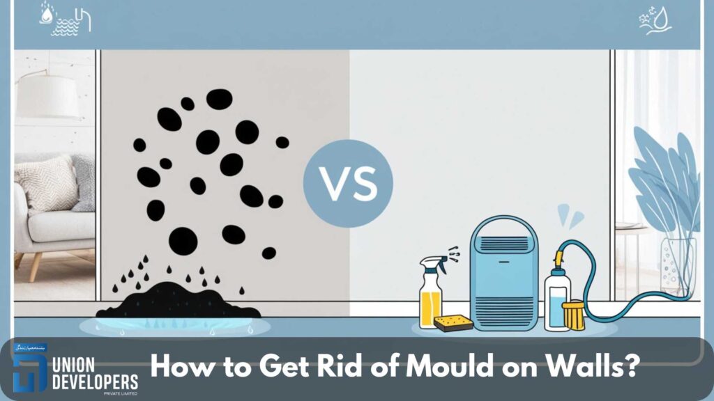 How to Get Rid of Mould on Walls