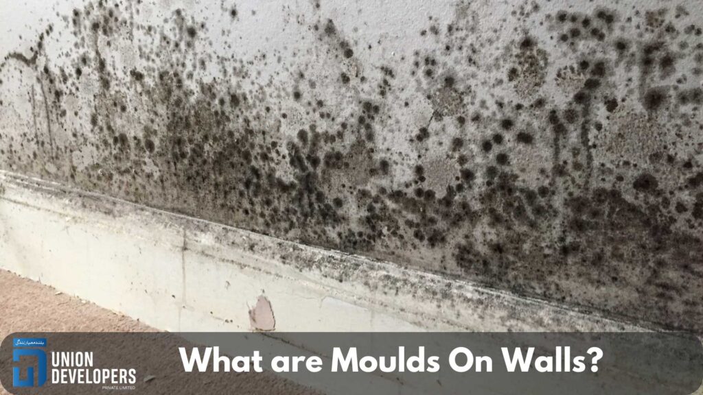 What are Moulds On Walls